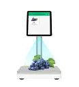 Cân điện tử AI RX666