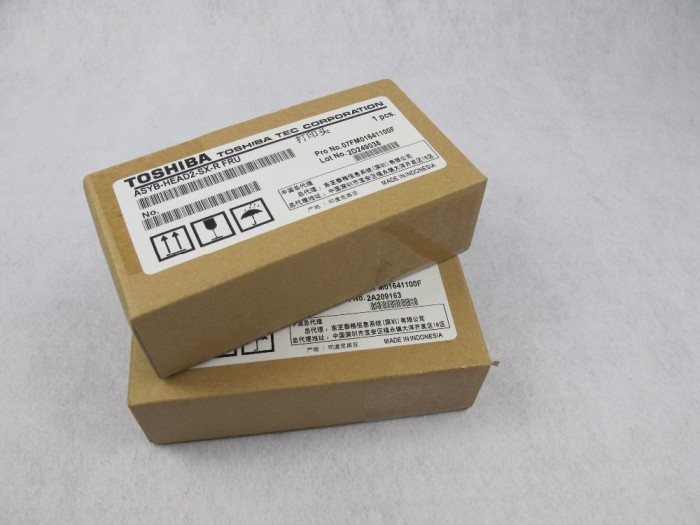 Đầu in máy in BSX5T 300 dpi