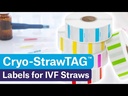 youtube - [Video]