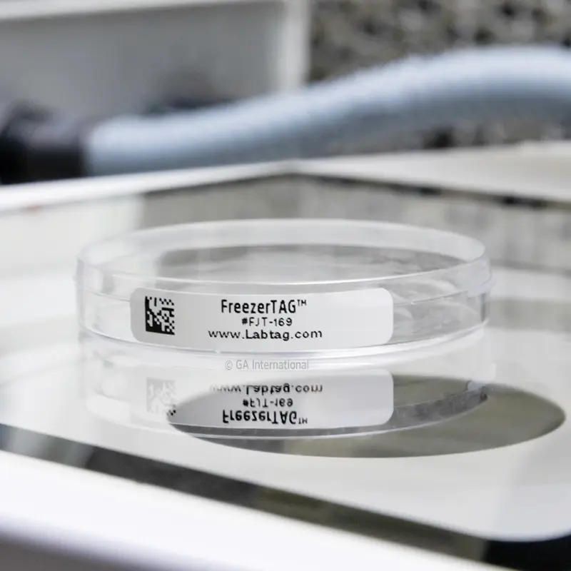FJT-169-On-petri-dish.webp