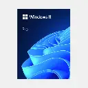 Phần mềm Win Pro 11 64Bit Eng Intl 1pk DSP OEI DVD